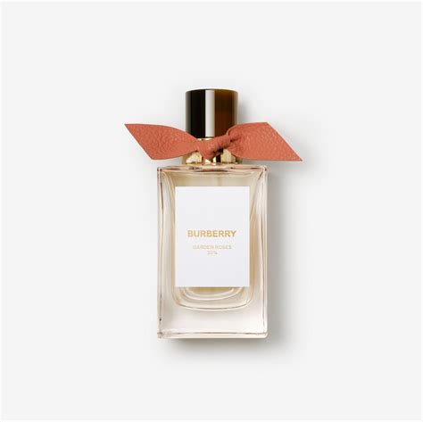 Burberry signatures garden roses